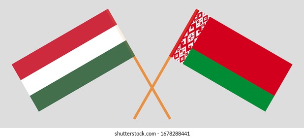 Crossed flags of Belarus and Hungary. Official colors. Correct proportion. Vector illustration
