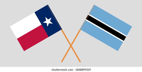 Gekreuzte Flaggen Botsuanas und des Staates Texas
