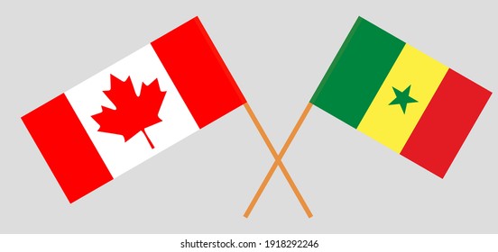 Banderas cruzadas de Canadá y Senegal