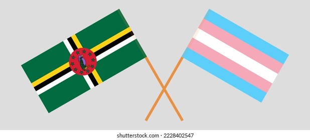 Crossed flags of Dominica and Transgender Pride. Official colors. Correct proportion. Vector illustration
