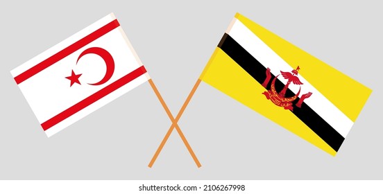 Crossed flags of Northern Cyprus and Brunei. Official colors. Correct proportion. Vector illustration
