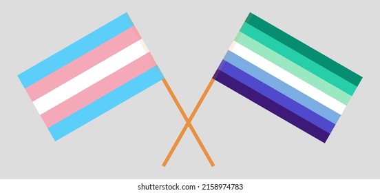 Crossed flags of Transgender Pride and gay men pride. Official colors. Correct proportion. Vector illustration
