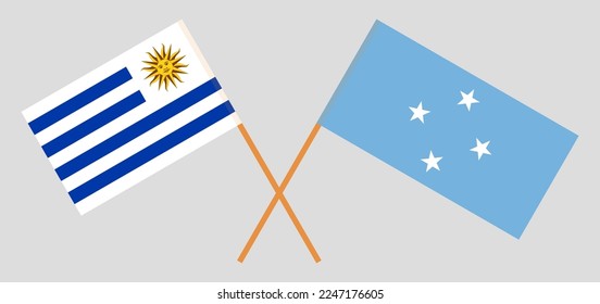 Crossed flags of Uruguay and Micronesia. Official colors. Correct proportion. Vector illustration
