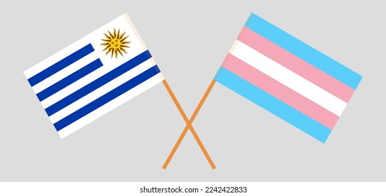 Crossed flags of Uruguay and Transgender Pride. Official colors. Correct proportion. Vector illustration
