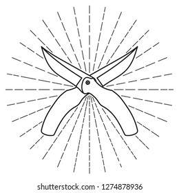 Crossed knives. Vector illustration.