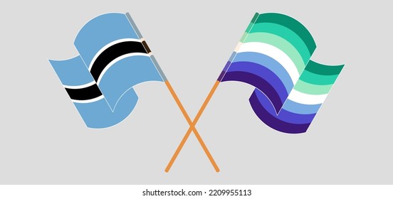 Crossed and waving flags of Botswana and gay men pride. Vector illustration
