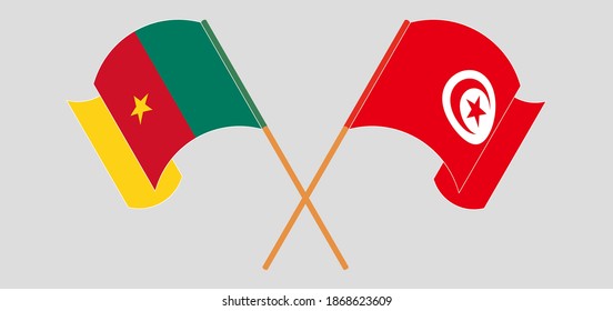 Crossed and waving flags of Cameroon and Tunisia