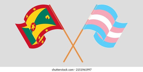 Crossed and waving flags of Grenada and Transgender Pride. Vector illustration
