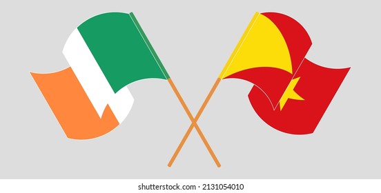 Crossed and waving flags of Ireland and Tigray. Vector illustration