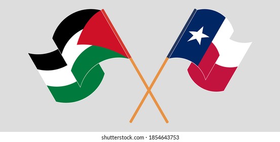 Crossed and waving flags of Palestine and the State of Texas