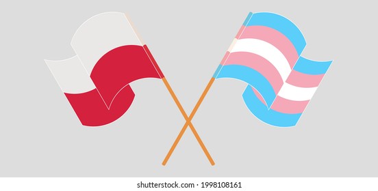 Crossed and waving flags of Poland and transgender pride