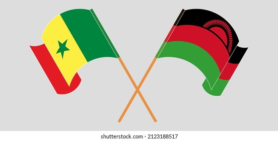 Crossed and waving flags of Senegal and Malawi. Vector illustration
