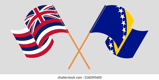 Crossed and waving flags of The State Of Hawaii and Bosnia and Herzegovina. Vector illustration
