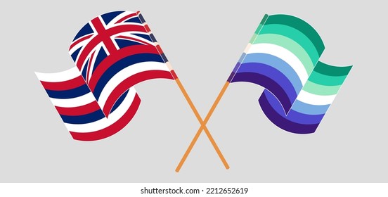 Crossed And Waving Flags Of The State Of Hawaii And Gay Men Pride. Vector Illustration
