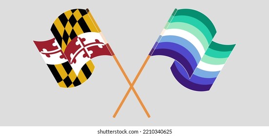 Crossed and waving flags of the State of Maryland and gay men pride. Vector illustration
