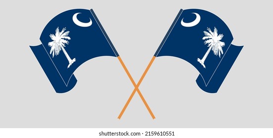 Crossed Waving Flags State South Carolina Stock Vector Royalty Free
