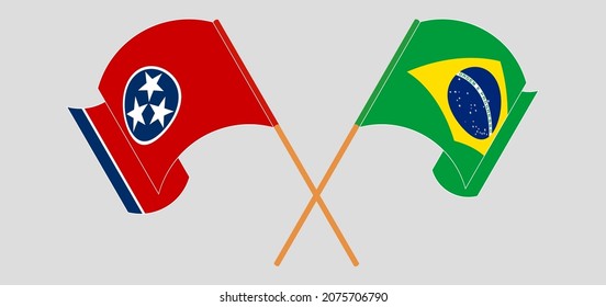 Cruzaron y ondearon banderas del Estado de Tennessee y Brasil. Ilustración del vector
