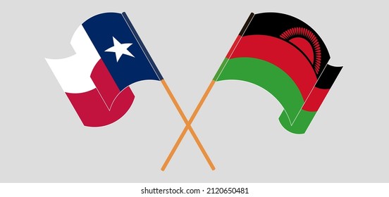 Crossed and waving flags of the State of Texas and Malawi. Vector illustration
