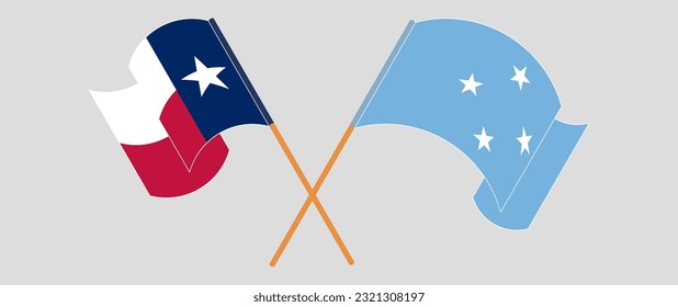 Crossed and waving flags of The State of Texas and Micronesia. Vector illustration
