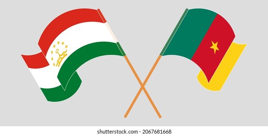 Crossed and waving flags of Tajikistan and Cameroon