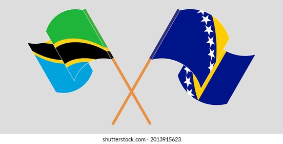 Crossed and waving flags of Tanzania and Bosnia and Herzegovina