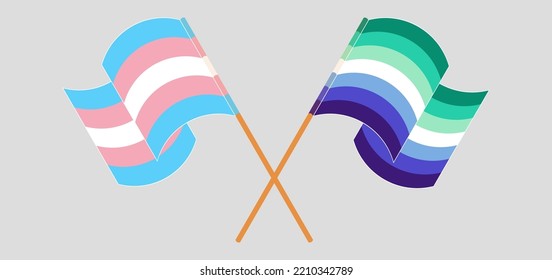 Crossed and waving flags of Transgender Pride and gay men pride. Vector illustration
