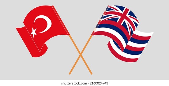 Crossed and waving flags of Turkey and The State Of Hawaii. Vector illustration
