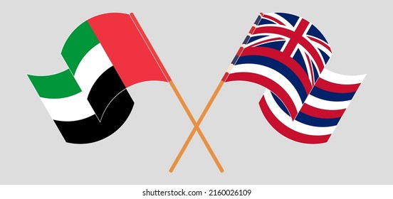 Crossed and waving flags of the United Arab Emirates and The State Of Hawaii. Vector illustration
