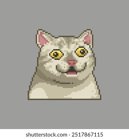 Cross-eyed cat with a surprised face, pixel art meme