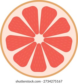 Cross-section of a bright pink grapefruit with distinct segments and rind, flat illustration