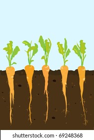 A cross-section of carrots growing in rich, dark soil. Space for your text. EPS10 vector format.