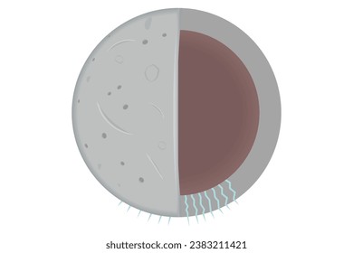 cross-section of a gray dwarf planet