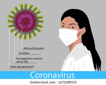 La sección transversal muestra los componentes internos del coronavirus.
Ilustración vectorial de la doctora en la máscara médica.
