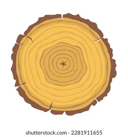 A cross-section of a tree with annual rings. Illustrated vector clipart.