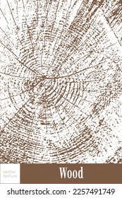 Cross-section of a tree. Annual rings or layers of tree growth. Wavy ring pattern from a piece of wood. Vector image for background, cover, magazine.