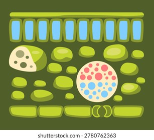Cross-sectional illustration showing the cellular structure and various layers of a plant leaf, highlighting biological processes.