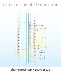 Cross-sectional view of an ideal solenoid