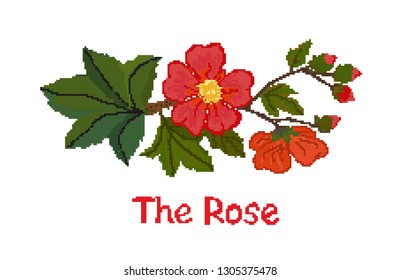 Cross-stitch flower red rose on a white background, the scheme. Vector