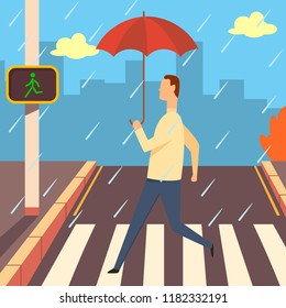 Crosswalk with zebra and traffic light vector cartoon illustration. Man with umbrella in the rain walking across road.