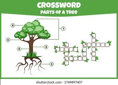 Crossword with parts of tree. Parts of a tree. Vector education game for children. Mini-game for children. Crossword for kids.