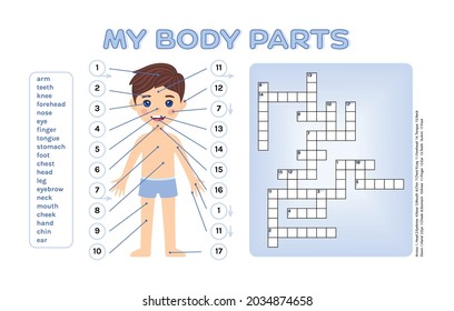 Crossword Puzzle for Children. My Body Parts. Cute Boy and Intelligent Game for Kids. Learn and Write Words. Page from Workbook for Printing. Flat Cartoon Style. White background. Vector illustration