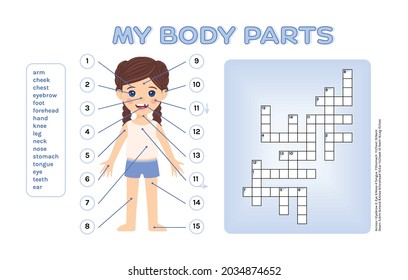 Crossword Puzzle for Children. Parts of My Body. Cute Girl and Test for Kids. Template and Blank for Educational Game, for School Lesson Anatomy, Biology. Printout. Cartoon style. Vector illustration