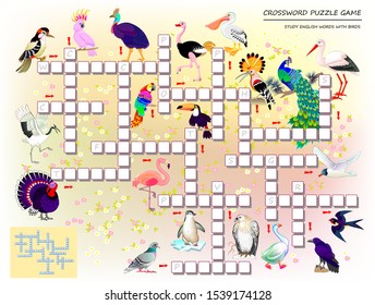 Crossword puzzle game for kids with cute birds. Educational page for children for study English language and words. Printable worksheet for kids textbook. Back to school. Vector cartoon image.