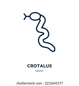 crotalus icon from desert collection. Thin linear crotalus, animal, wildlife outline icon isolated on white background. Line vector crotalus sign, symbol for web and mobile