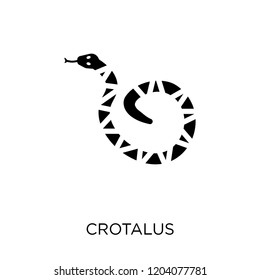 Crotalus icon. Crotalus symbol design from Desert collection. Simple element vector illustration on white background.