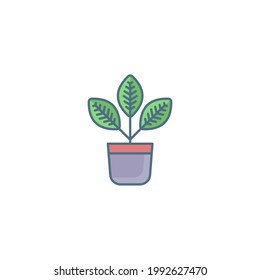 croton Flat Icon Isolated On White Background