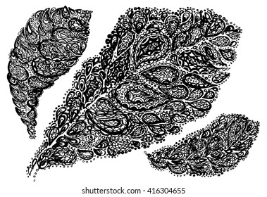 Croton leaf illustration in paisley style. Codiaeum plant. Jungle tropical tree. Nature drawing.
