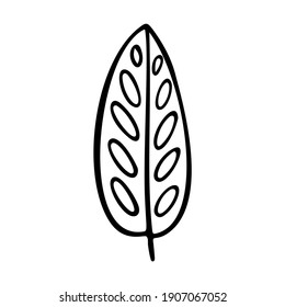 Croton leaf stylized vector illustration. Doodle illustration of decorative Croton tropical foliage. Leaves of palm tree isolated on white background.