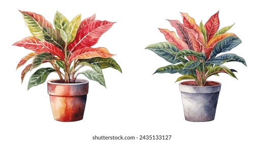 croton plant in a pot watercolor vector illustration