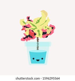 Croton Plant Vector Illustration. Colorful Leaves Plant. Home Garden Plant with Glass Pot and Cute Face.